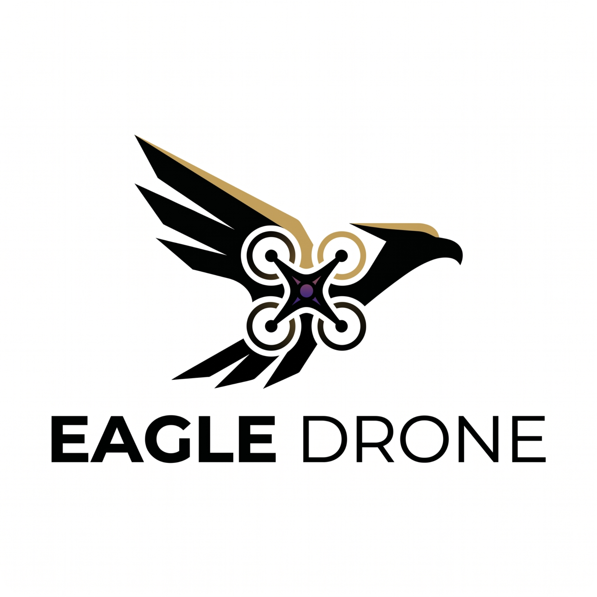 Eagle Drone